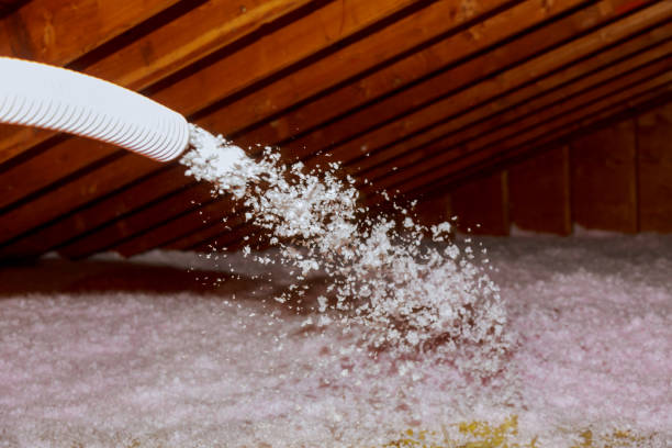 Best Insulation Maintenance and Repair in Douglasville, GA