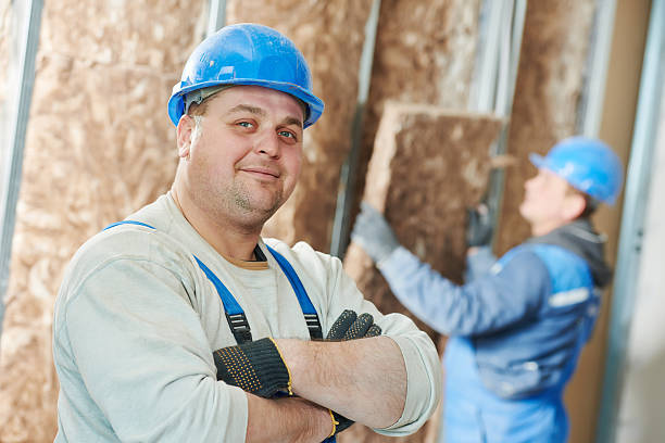 Best Insulation Installation Services in Douglasville, GA