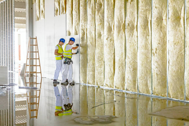 Best Insulation for Specific Applications in Douglasville, GA